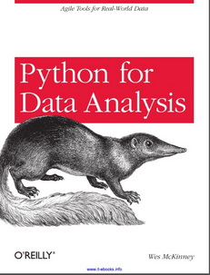 Python for Data Analysis