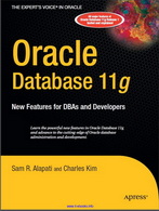 Oracle Database 11g